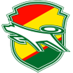 JEF United Chiba team flag