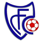 Chauray team flag