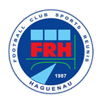 Haguenau team flag