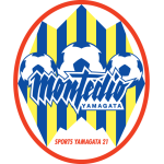 Montedio Yamagata team flag