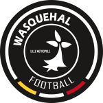 Wasquehal team flag