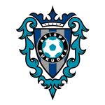 Avispa Fukuoka flag