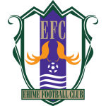 Ehime FC team flag