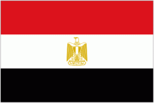 Egypt team flag