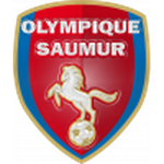 Saumur team flag