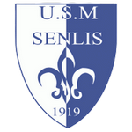 Senlis team flag