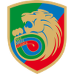 Miedz Legnica team flag