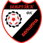 Belshina team flag
