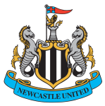 Newcastle team flag