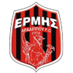 Ermis team flag