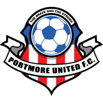 Portmore United team flag