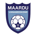 Maardu team flag