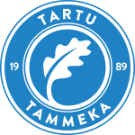 Tammeka team flag