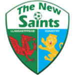 The New Saints team flag