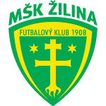Žilina team flag