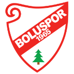 Boluspor team flag