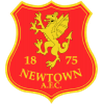 Newtown AFC team flag