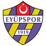 Eyüpspor team flag