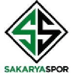 Sakaryaspor team flag