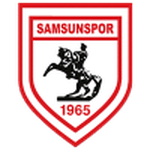 Samsunspor team flag