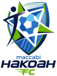 Hakoah Sydney City team flag