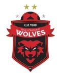 Wollongong Wolves team flag