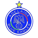Adelaide Blue Eagles team flag