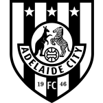 Adelaide City team flag