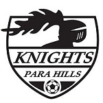 Para Hills Knights team flag
