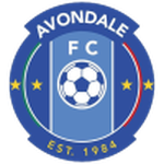 Avondale team flag