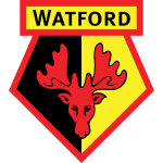 Watford flag