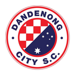 Dandenong City team flag