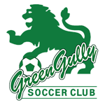 Green Gully team flag