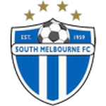 South Melbourne team flag