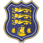 Waterford team flag