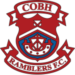 Cobh Ramblers team flag