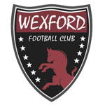 Wexford team flag