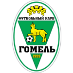 FC Gomel team flag