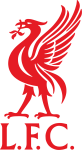 Liverpool team flag