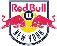 New York RB II team flag