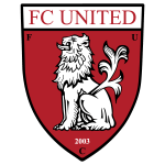 Chicago Fire II team flag