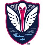 Tormenta team flag