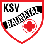 Baunatal team flag