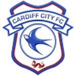 Cardiff flag