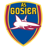 Gosier team flag