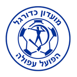 Hapoel Afula flag