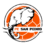 San-Pédro team flag