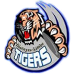 Mighty Tigers team flag