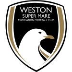 Weston-super-Mare team flag