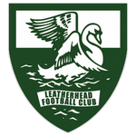 Leatherhead team flag
